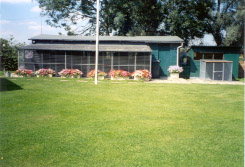 The Cattery from the Garden